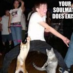 Nan | YOUR SOULMATE DOES EXIST | image tagged in party hard cat | made w/ Imgflip meme maker