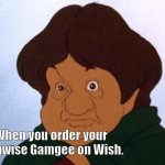 Wish Samwise | When you order your Samwise Gamgee on Wish. | image tagged in cartoon samwise gamgee,lotr,lord of the rings,memes | made w/ Imgflip meme maker