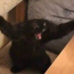 say waaaaaaaaaaaaaaaaaaaaaat