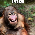 Let's sek | LETS SEK | image tagged in smiling orangutan | made w/ Imgflip meme maker