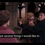 Minerva and Trelawney