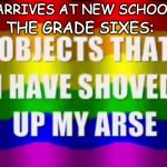 My first meme | ME: ARRIVES AT NEW SCHOOL; THE GRADE SIXES: | image tagged in objects that i have shoved up my arse | made w/ Imgflip meme maker