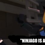 ANYONE WITH MORE THAN 2 BRAIN CELLS:; "NINJAGO IS A KIDS SHOW" | image tagged in ninja | made w/ Imgflip meme maker