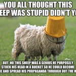stupid sheep | YOU ALL THOUGHT THIS SHEEP WAS STUPID DIDN'T YOU; BUT  NO THIS SHEEP WAS A GENIUS HE PURPOSELY STUCK HIS HEAD IN A BUCKET SO HE COULD BECOME A MEME AND SPREAD HIS PROPAGANDA THROUGH OUT THE WORLD | image tagged in stupid sheep | made w/ Imgflip meme maker