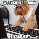 Hump Day | ME: I WILL WORK SO HARD TODAY; SO I CAN TAKE MY WEEKENDS WITH LESS-WORRY. | image tagged in work dog | made w/ Imgflip meme maker