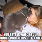 You mean im fat?? | YOU BETTER WATCH YOUR MOUTH WHO NEEDS DIET, KAREN | image tagged in aggressive cat,fat,pandemic,cat,karen,nutella | made w/ Imgflip meme maker