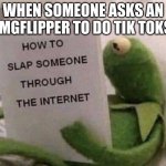 Kermit How to slap someone through the internet | WHEN SOMEONE ASKS AN IMGFLIPPER TO DO TIK TOKS | image tagged in kermit how to slap someone through the internet | made w/ Imgflip meme maker