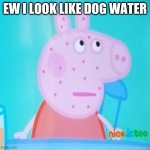 Ew peppa | EW I LOOK LIKE DOG WATER | image tagged in peppa what are you doing in my meme | made w/ Imgflip meme maker