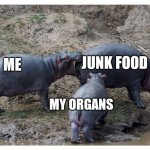 Hippo bite butt | JUNK FOOD; ME; MY ORGANS | image tagged in hippo bite butt | made w/ Imgflip meme maker