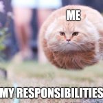 "We don't work well together." | ME; MY RESPONSIBILITIES | image tagged in hover cat,dodge,responsibilities,me,cats | made w/ Imgflip meme maker