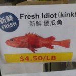 Fresh idiot