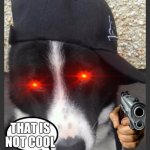 That is not cool | KEYBOARDS: EXIST
STREAMERS | image tagged in that is not cool | made w/ Imgflip meme maker