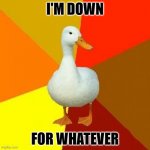 Right on! | I'M DOWN FOR WHATEVER | image tagged in memes,tech impaired duck | made w/ Imgflip meme maker