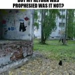 Black Prophecy Cat | BUT MY RETURN WAS PROPHESIED WAS IT NOT? | image tagged in black prophecy cat,old meme,new meme,unknown,funny,whomst has awakened the ancient one | made w/ Imgflip meme maker