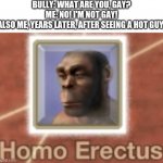 Homo Erectus | BULLY: WHAT ARE YOU, GAY?
ME: NO! I'M NOT GAY!
ALSO ME, YEARS LATER, AFTER SEEING A HOT GUY: | image tagged in homo erectus | made w/ Imgflip meme maker