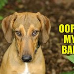 Doggy Oops | OOPS
MY
BAD | image tagged in my bad | made w/ Imgflip meme maker