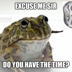Do you have the time | EXCUSE ME SIR; DO YOU HAVE THE TIME? | image tagged in mustache,surreal,clock,frog,wtf,random | made w/ Imgflip meme maker