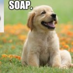 soap doggo template