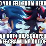 Sonic the Hedgehog and Shadow the Hedgehog | DID YOU FELL FROM HEAVEN; NO BUT I DID SCRAPED MY KNEE CRAWLING OUT OF HELL | image tagged in sonic the hedgehog and shadow the hedgehog | made w/ Imgflip meme maker