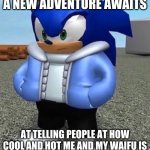 Sonic sans undertale | A NEW ADVENTURE AWAITS; AT TELLING PEOPLE AT HOW COOL AND HOT ME AND MY WAIFU IS | image tagged in sonic sans undertale | made w/ Imgflip meme maker
