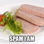 SPAM | SPAM I AM | image tagged in spam | made w/ Imgflip meme maker