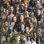 cat | Find the Cat | image tagged in cat | made w/ Imgflip meme maker