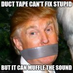 Trump duct tape mouth | DUCT TAPE CAN'T FIX STUPID; BUT IT CAN MUFFLE THE SOUND | image tagged in trump duct tape mouth | made w/ Imgflip meme maker