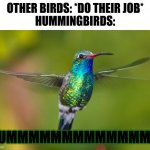 hummingbird | OTHER BIRDS: *DO THEIR JOB*
HUMMINGBIRDS:; HUMMMMMMMMMMMMMM | image tagged in hummingbird | made w/ Imgflip meme maker