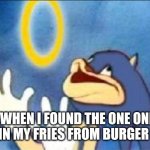 Guess it's my lucky day | ME WHEN I FOUND THE ONE ONION RING IN MY FRIES FROM BURGER KING: | image tagged in sonic derp,memes,fun,imgflip | made w/ Imgflip meme maker