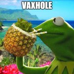 vacation kermit | VAXHOLE | image tagged in vacation kermit | made w/ Imgflip meme maker