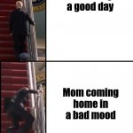 Biden stairs | Me having a good day; Mom coming home in a bad mood | image tagged in biden stairs | made w/ Imgflip meme maker