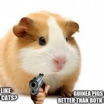 guinea pigs are number one because they are potatoes | GUINEA PIGS ARE BETTER THAN BOTH COMBINED; SO YOU LIKE DOGS AND CATS? | image tagged in guinea pig | made w/ Imgflip meme maker