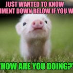 its not a meme but a Question | JUST WANTED TO KNOW   
( COMMENT DOWN BELOW IF YOU WANT ); "HOW ARE YOU DOING?" | image tagged in piglet | made w/ Imgflip meme maker