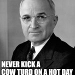 Harry Truman | HARRY S TRUMAN; NEVER KICK A COW TURD ON A HOT DAY | image tagged in harry truman | made w/ Imgflip meme maker
