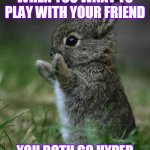 Cute Bunny | WHEN YOU WANT TO PLAY WITH YOUR FRIEND; YOU BOTH GO HYPER | image tagged in cute bunny | made w/ Imgflip meme maker