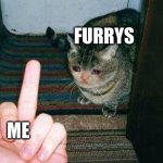 Sad Cat Being Flipped Off | FURRYS; ME | image tagged in sad cat being flipped off | made w/ Imgflip meme maker