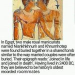 Gay Egyptians