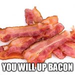 Bacon | YOU WILL UP BACON | image tagged in bacon | made w/ Imgflip meme maker