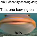It always happens | Tom: Peacefully chasing Jerry; That one bowling ball: | image tagged in helo fish | made w/ Imgflip meme maker