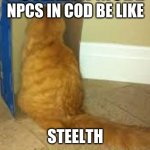 steeth | NPCS IN COD BE LIKE; STEELTH | image tagged in steeth,cat,secret,cod,hide | made w/ Imgflip meme maker