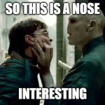Voldemort and Harry | SO THIS IS A NOSE; INTERESTING | image tagged in voldemort and harry | made w/ Imgflip meme maker