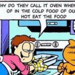 Garfield Engrish meme