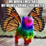 Rainbow unicorn butterfly kitten | ME WHEN I MISTAKE MY MOMS "DRINK" FOR WATER | image tagged in rainbow unicorn butterfly kitten | made w/ Imgflip meme maker