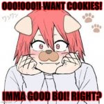 Dog kirishima | OOO!OOO!I WANT COOKIES! IMMA GOOD BOI! RIGHT? | image tagged in dog kirishima | made w/ Imgflip meme maker