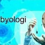 Meme man byologi