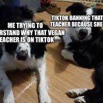 Why? | TIKTOK BANNING THAT VEGAN TEACHER BECAUSE SHE IS SICK; ME TRYING TO UNDERSTAND WHY THAT VEGAN TEACHER IS ON TIKTOK | image tagged in two dogs looking at a thing | made w/ Imgflip meme maker