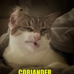 Coriander | CORIANDER... | image tagged in angry disgust | made w/ Imgflip meme maker