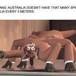 the bottom image is still cursed af | AMERICANS: AUSTRALIA DOESN'T HAVE THAT MANY SPIDERS
AUSTRALIA EVERY 3 METERS: | image tagged in spyder,tf2,cursed image,barney will eat all of your delectable biscuits,memes | made w/ Imgflip meme maker