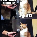 Interview Cat | YOU'RE A SOFTWARE ENGINEER? YES; CAN YOU FIX MY COMPUTER? | image tagged in interview cat | made w/ Imgflip meme maker