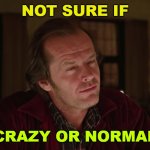 Not sure if crazy or normal | NOT SURE IF; CRAZY OR NORMAL | image tagged in jack nicholson - shining - not sure if | made w/ Imgflip meme maker